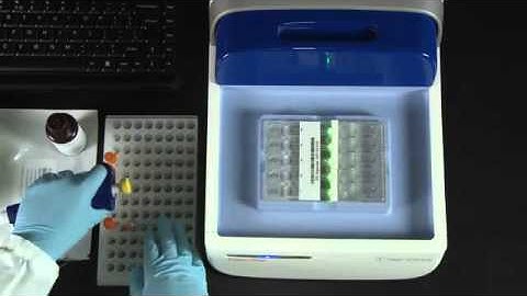 sagescience Pippin Workflow