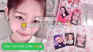 🐯 DIVE VLOG #01 🫶🏻 #다이브로그 #아이브 #아이브앨범 #포카깡 #알고리즘 #잇프 #싸인 #포카 #ive #자포자깡 #다이브 #녕프 #장원영 #이서 #이현서