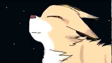 Leafpool & Crowfeather MAP Part 11