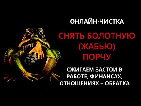 🔥СНЯТЬ ЖАБЬЮ (БОЛОТНУЮ)