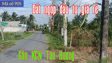 Cần bán gấp mảnh đất giá rẻ gần KCN Tân Hương đất đẹp mặt tiền đường nhựa - ms 905