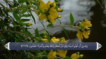 دعوت به جهاد - آیه 216 سوره بقره