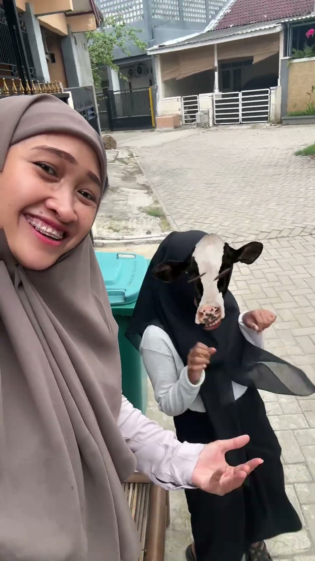 ANAK SAPI PINTER JOGET ?