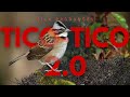 TICO-TICO 2.0?!