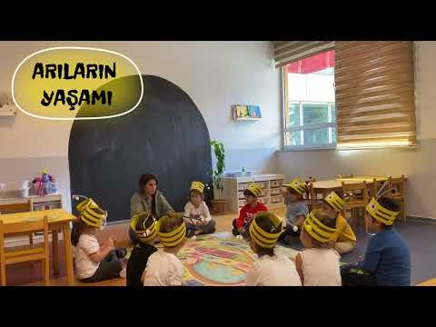 Arıların Yaşamı Drama Etkinliği