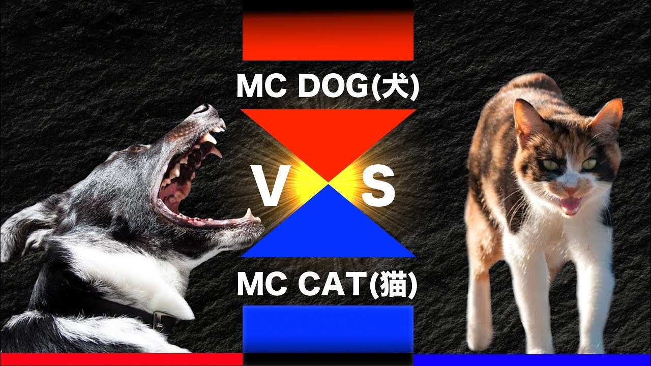 ラップ Dog Vs Cat 犬と猫の頂上決戦 Youtube