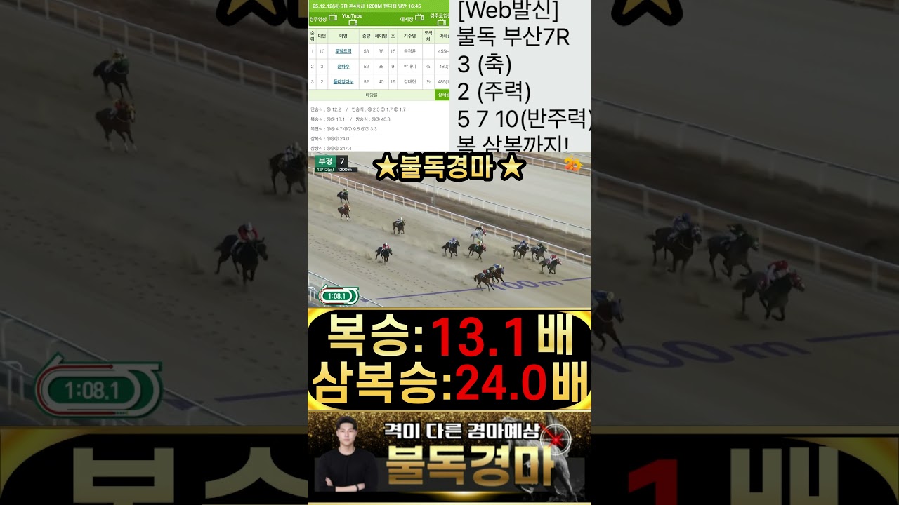걸음이 달라진 복병마필은 절대 불독의 눈을 피해갈수 없습니다! 부산경마 역시 불독 입니다