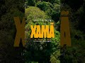 Xamã’s rehabilitation journey | Xamã #wildlife #documentary