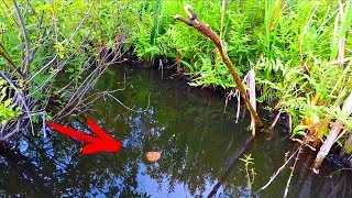 картинка: Ловля карпа на палку! Самая простая и Примитивная снасть. Рыбалка на корку хлеба