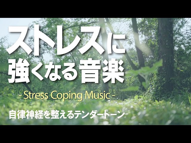 ③　NO STRESS MUSIC 平常心を保つ ビジネス応用CD　EX-503 ③ NO STRESS MUSIC 平常心を保つ ビジネス応用CD EX-503 Amazon.co.jp