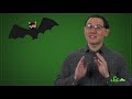 Why Bats Carry Deadly Diseases