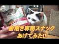 猫の歯磨き用スナック買ってきました！