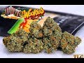 Strain Review: White Cookies (Crop King Seeds) - YouTube