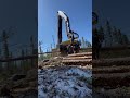 #foryoupage #tigercat855 #h8hd #tigercat #forest #Abitibi #forestery #logging #logginglife #ponsse