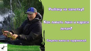 ОБ ЭТОМ знают немногие! Как ловить линя и карася летом? Секреты летней рыбалки на фидер
