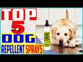 Top 5 Best Dog Repellent Sprays In 2022