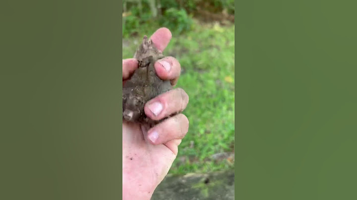 Kijk eens naar dit kleine molletje dat ik gevonden heb!!!