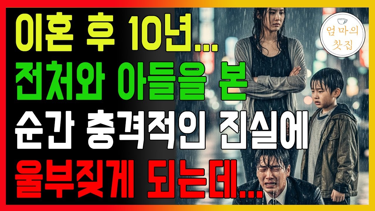 이혼 후 10년...전처와 아들을 본 순간 충격적인 진실에 울부짖게 되는데...#인생사연  #사연낭독 #오디오북