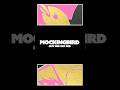 MOCKINGBIRD… 03/05/2024 #shorts #musicalfreedom