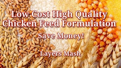 Low Cost High Quality  100 Kg Poultry Chicken Feed Formulation,  Egg Booster , LAYERS MASH.