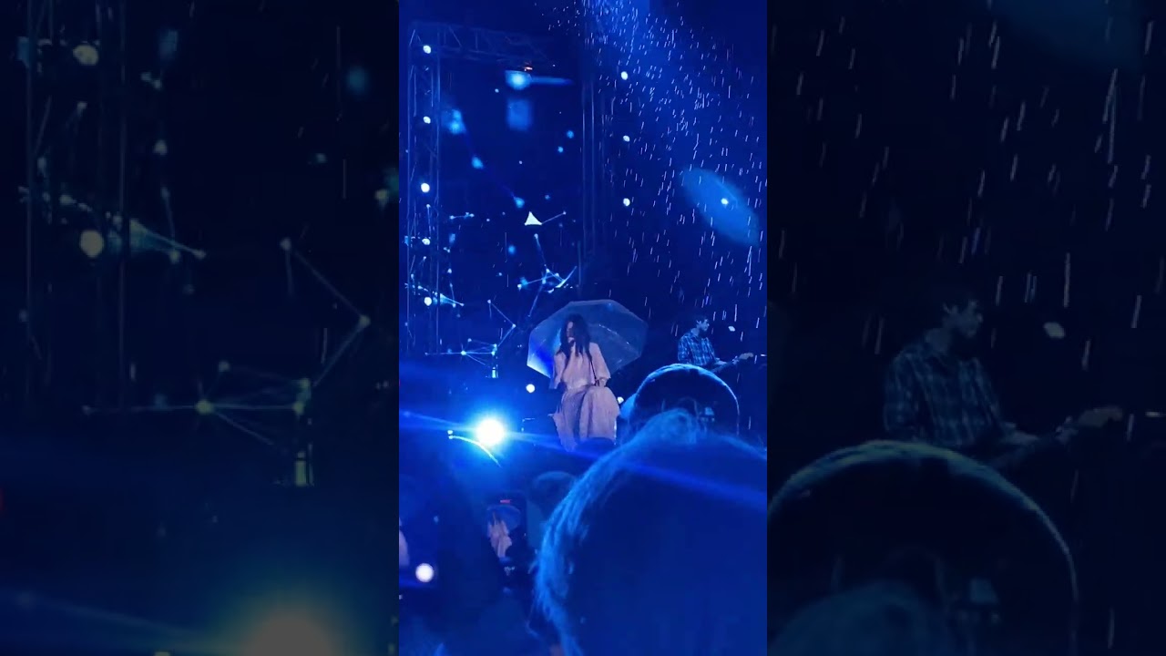 陳綺貞-太聰明 20251101呼叫音樂節