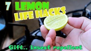 7 lemon life hacks that make your ...