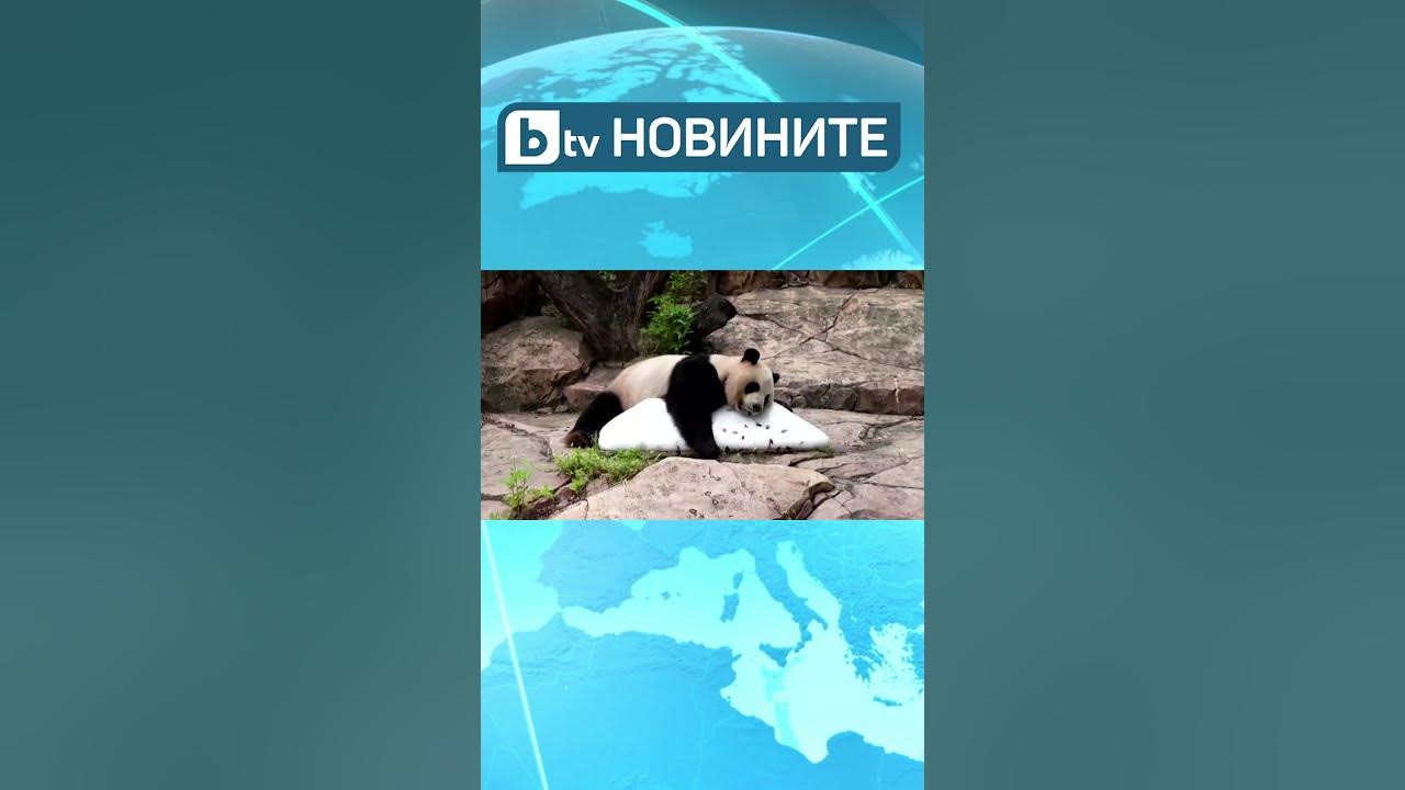 Тежки 24 часа: България и светът в капана на опасни горещини - YouTube
