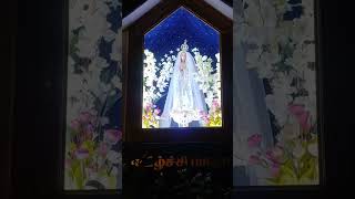 Download Lagu amma engal thayee matha whatsup status matha songs# MP3