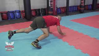 Gorilla Crawl