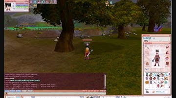 Flyff - New Generation Update - Prevention