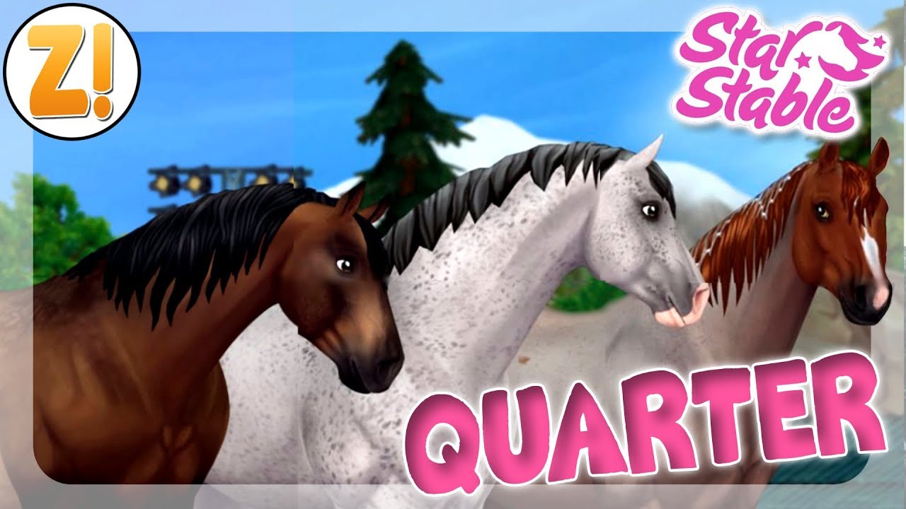 19++ Sso new quarter horse spoiler info