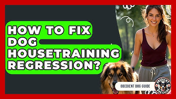 How To Fix Dog Housetraining Regression? - Obedient Dog Guide