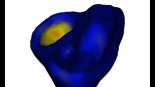SOFA - Reaction diffusion simulation in 3D