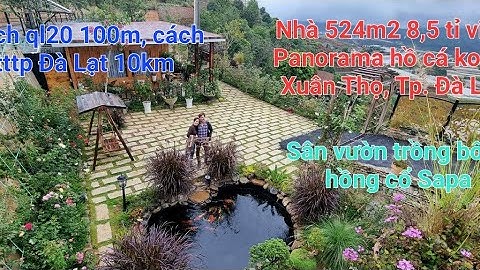 Nhà 524m2 8,5 tỉ view Panorama hồ cá koi sân vườn xung quanh Xã Xuân Thọ, Tp. Đà Lạt.