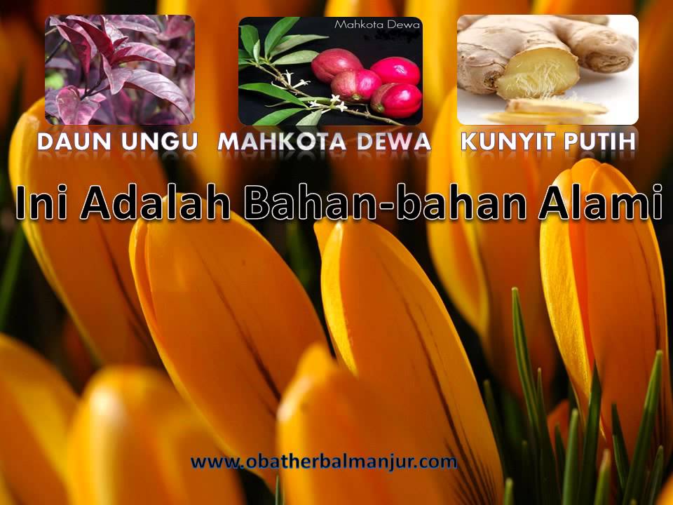 cara mengatasi ambeien dengan herbal