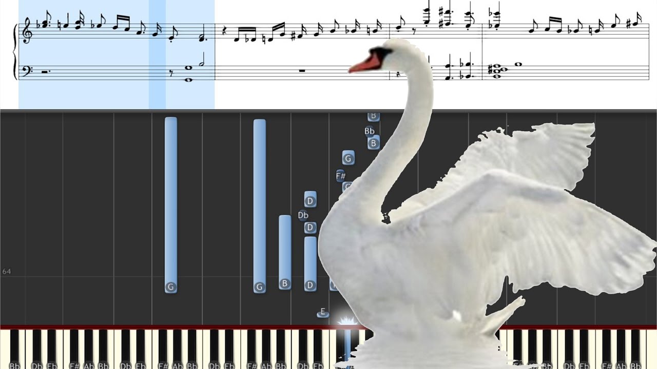 Пезарский лебедь в музыке