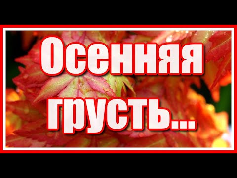 Осенняя грусть... Снова осень. Когда-то уже это было, и на землю струился цветной листопад...