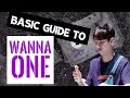 Basic Guide to WANNA ONE