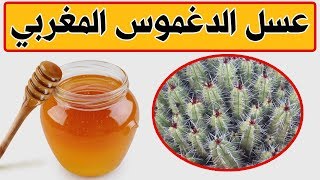 فوائد عسل الدغموس أفضل أنواع العسل وأكترها فائدة#عسل الدغموس المغربي