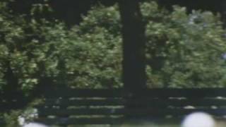 Saul Bass - Why Man Creates - A parable