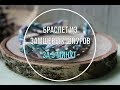 DIY ЛЕТНИЙ БРАСЛЕТ ИЗ ЗАМШЕВОГО ШНУРА ЗА 5 МИНУТ