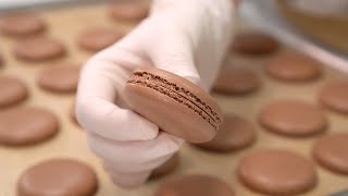 Cocoa Velvet Macaron Shells, No Coloring [SUGAR BEAN]