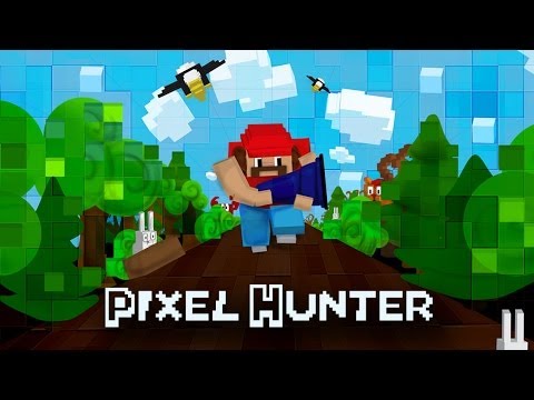 Pixel Hunter
