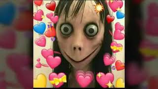 Momo La Novia De Dross No Es Meme