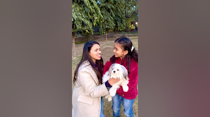 amaira ko mila pyara sa dog #thegeetagurjar #shorts