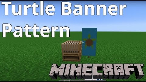 Minecraft: Turtle Banner Pattern