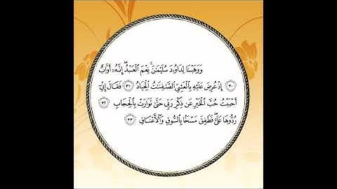 سورة ص مكررة آية : ( 30 إلى 33 )