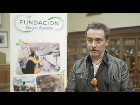 ¿Por qué los tiburones generan tanta fascinación? - Alessandro De Maddalena