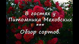 видео: В гостях у питомника Меховских.  Обзор сортов. картинка: В гостях у питомника Меховских.  Обзор сортов.