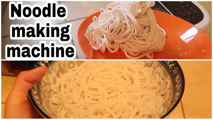 Testing the VIVOHOME Electric Automatic Pasta Ramen Noodle Maker Machine  #LeighsHome 